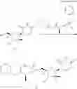 Fig. 145 - SUBSTITUTED NUCLEOSIDES, NUCLEOTIDES AND ANALOGS THEREOF