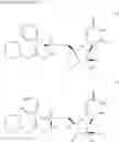 Fig. 167 - SUBSTITUTED NUCLEOSIDES, NUCLEOTIDES AND ANALOGS THEREOF