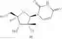 Fig. 172 - SUBSTITUTED NUCLEOSIDES, NUCLEOTIDES AND ANALOGS THEREOF