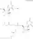 Fig. 176 - SUBSTITUTED NUCLEOSIDES, NUCLEOTIDES AND ANALOGS THEREOF