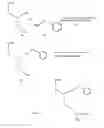 Fig. 08 - Synthetic Polymers Containing Amino Acid Side Chains