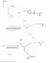 Fig. 10 - Synthetic Polymers Containing Amino Acid Side Chains