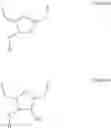 Fig. 12 - Synthetic Polymers Containing Amino Acid Side Chains