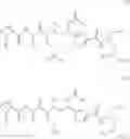 Fig. 02 - Process for preparing tubulysins