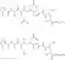 Fig. 03 - Process for preparing tubulysins