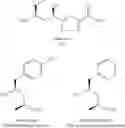 Fig. 04 - Process for preparing tubulysins