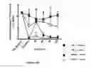 Fig. 06 - Ang-(1-7) derivative oligopeptides and methods for using and producing the same
