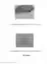 Fig. 05 - Stem cell mobilization and tissue repair and regeneration
