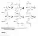 Fig. 04 - HIGH-AFFINITY MATRIPTASE INHIBITORS