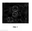 Fig. 02 - RGD-CONTAINING CYCLIC PEPTIDES