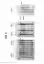 Fig. 03 - Immunogenic fusion polypeptides