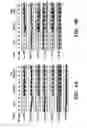 Fig. 08 - Vibro-based delivery system and immune suppression