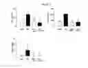 Fig. 04 - BIOLOGICAL MATERIALS AND USES THEREOF