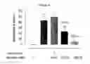 Fig. 05 - BIOLOGICAL MATERIALS AND USES THEREOF