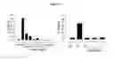 Fig. 06 - BIOLOGICAL MATERIALS AND USES THEREOF