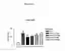 Fig. 11 - BIOLOGICAL MATERIALS AND USES THEREOF