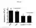 Fig. 25 - BIOLOGICAL MATERIALS AND USES THEREOF