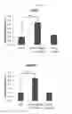 Fig. 08 - Use of mutant haptoglobin having angiogenesis promoting activity