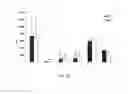 Fig. 11 - Use of plant cells expressing a TNFalpha polypeptide inhibitor in therapy