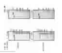 Fig. 03 - CHIMERIC POLYPEPTIDES, POLYNUCLEOTIDES ENCODING SAME, CELLS EXPRESSING SAME AND METHODS OF PRODUCING SAME