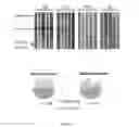 Fig. 02 - Methods to protect against and treat multiple sclerosis