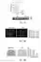 Fig. 14 - Methods and compositions with immune therapy for treatment of dementia