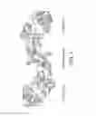 Fig. 02 - Engineered anti-TGF-beta antibodies and antigen-binding fragments