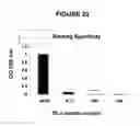 Fig. 23 - T CELL RECEPTOR MIMIC RL9A
