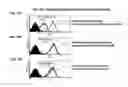 Fig. 28 - T CELL RECEPTOR MIMIC RL9A