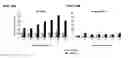 Fig. 30 - T CELL RECEPTOR MIMIC RL9A