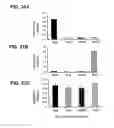 Fig. 32 - T CELL RECEPTOR MIMIC RL9A