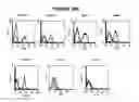 Fig. 35 - T CELL RECEPTOR MIMIC RL9A