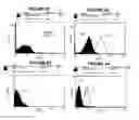 Fig. 51 - T CELL RECEPTOR MIMIC RL9A