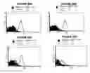Fig. 55 - T CELL RECEPTOR MIMIC RL9A