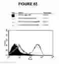 Fig. 60 - T CELL RECEPTOR MIMIC RL9A