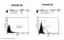 Fig. 65 - T CELL RECEPTOR MIMIC RL9A