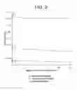 Fig. 03 - COMPOSITIONS AND METHODS FOR DETECTING OR ELIMINATING SENESCENT CELLS TO DIAGNOSE OR TREAT DISEASE