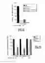 Fig. 07 - TIM RECEPTORS AS VIRUS ENTRY COFACTORS