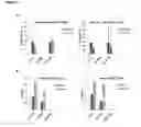 Fig. 03 - Anti-LAG-3 binding proteins