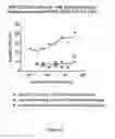Fig. 05 - Bispecific molecules that are immunoreactive with immune effector cells that express an activating receptor and an antigen expressed by a cell infected by a virus and uses thereof