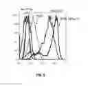 Fig. 07 - Anti-GPC3 antibodies and immunoconjugates