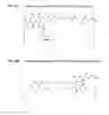 Fig. 15 - Anti-GPC3 antibodies and immunoconjugates