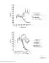 Fig. 08 - Non-Antagonistic EGFR-Binding Molecules and Immunoconjugates Thereof