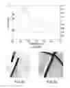 Fig. 05 - Gold nanoparticle conjugates and uses thereof