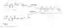 Fig. 04 - Process to prepare a cyclic oligomer and a cyclic oligomer obtainable thereby