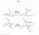 Fig. 02 - Disulfide-linked covalent organic polymers and method of preparing the same