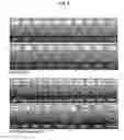 Fig. 05 - Disulfide-linked covalent organic polymers and method of preparing the same