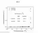 Fig. 09 - Disulfide-linked covalent organic polymers and method of preparing the same