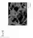 Fig. 05 - Process for producing spongelike structure