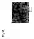 Fig. 06 - Process for producing spongelike structure